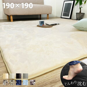 y10/10܂P5{z O 20mm 2cm Ɍ  liscio O O}bg ` 190×190cm 炳 O~ イ ~ J[ybg 2 k tl mz ς g[Ή zbgJ[