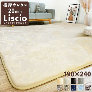 ���O 20mm 2cm �Ɍ� ���� liscio ���O ���O�}�b�g �����` 190×240cm ���炳�� �O�~ ���イ���� ����~�� �J�[�y�b�g �k�� �t�����l�� �m���z�� �����ς� ���g�[�Ή� �y�� ���r���O 190 240 �A�C�{���[ 