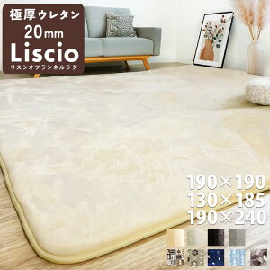 ���O 20mm 2cm �Ɍ� ���� liscio ���O ���O�}�b�g �����` 190×190cm �����` 190×240cm ���炳�� �O�~ ���イ���� ����~�� �J�[�y�b�g 2�� �k�� �t�����l�� �m���z�� �����ς� ���g�[�Ή� �z�b�g�J�[�y