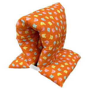 hГ { Sʃvg 100 w ct ۈ牀 ` wZ 3Nxɂ hЂ LbY c  q qǂ nk ΍ hЃObY hЗpi h~ hЃObY 