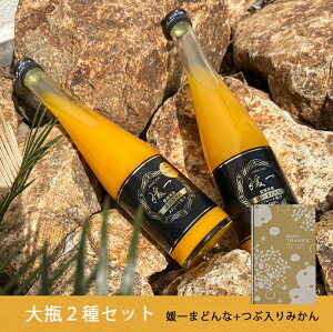 y I ԓ݂W[X+Q܂ǂ e1{ z  s ȃZbg t Xg[gʏ`100W[X щʉ Y Z Y l Q Fa l  䒆  