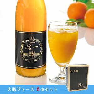 【 特選 媛一みかんジュース 6本セット 】 送料無料 《 お得なセット 》 ストレート果汁100%ジュース 小林果園 無添加 濃厚 国産 四国 愛媛 西宇和 八幡浜 お中元 御中元 お礼 御礼 母の日 父