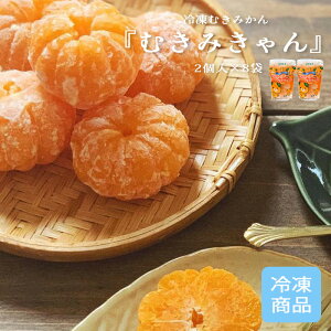 y Ⓚނ݂ u ނ݂ v 2×8 z 蕨 Mtg v`Mtg  Ⓚ ݂ t[c  j a LO j   