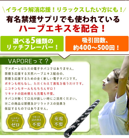 禁煙サポートハーブ入り電子タバコVAPOREヴァポーレ【メール便送料無料】全5種(電子たばこビタミン使い捨て水蒸気スティック禁煙パイポ)