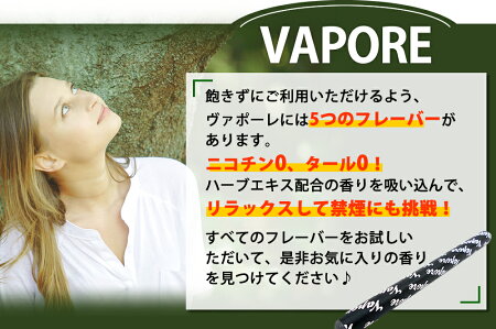 禁煙サポートハーブ入り電子タバコVAPOREヴァポーレ【メール便送料無料】全5種(電子たばこビタミン使い捨て水蒸気スティック禁煙パイポ)