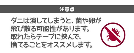 【メール便送料無料】【平日12時までのご注文で当日出荷】【即納】犬猫人用マダニ取りツイスターTwisterくるくるダニ害虫除去壁蝨だにダニ取りダニ対策ペット用品ペットグッズ