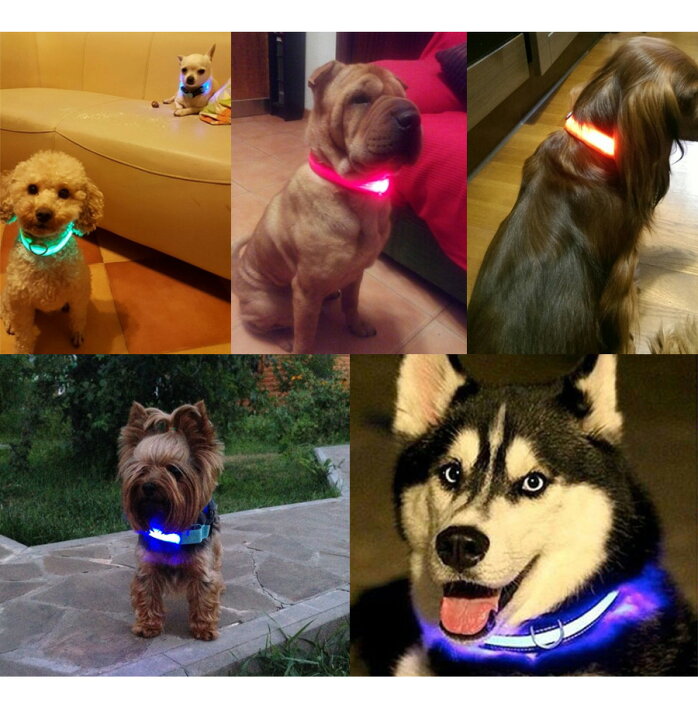セール品 セーフティライト グリーン ペット Led 散歩 犬 首輪 安全 リード 子供 Catalasarenas Com