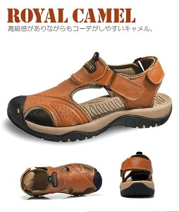 T_ Y X|[cT_ AEghAT_ U[T_ L ʋC JWA tH[} YV[Y C y j l  t  H C s W[ Lv 