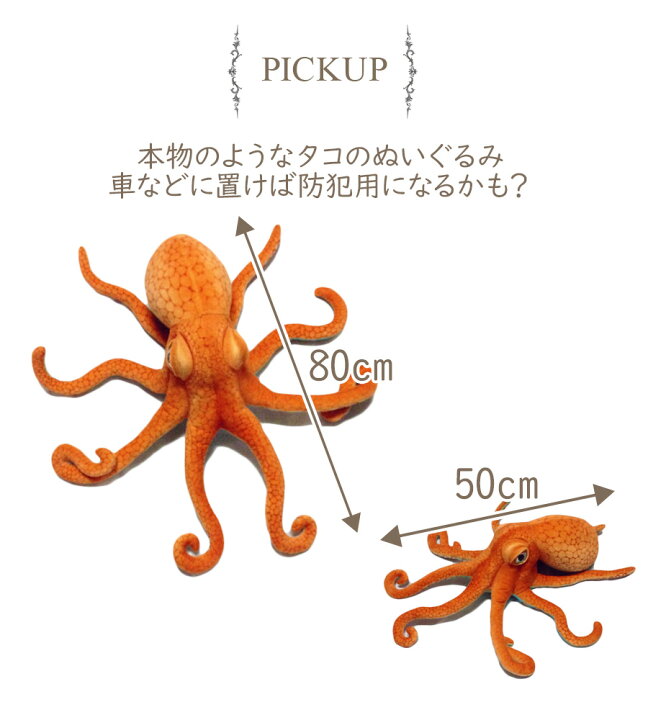 楽天市場 送料無料 即納 本物のような タコ ぬいぐるみ 50cmサイズたこ 蛸 オクトパス 本物 おもしろ びっくり サプライズ 子供部屋 人形 子供 こども キッズ おもちゃ 誕生日 お祝い ギフト 贈り物 プレゼント ラッピング カー用品 車用品 防犯 インテリア