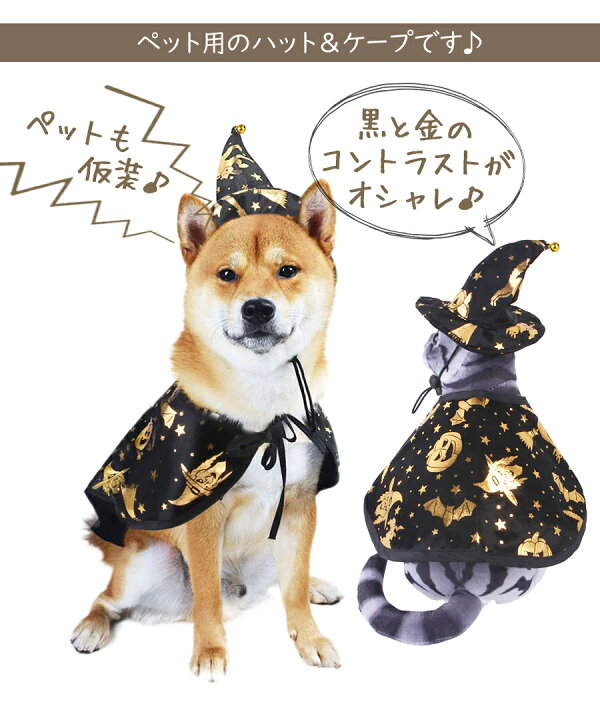 楽天市場】ペット用 ハロウィン ケープ ハット 2点セット 3サイズ ねこ  