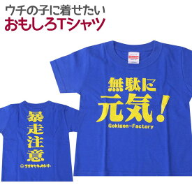 キッズTシャツ 無駄に元気！ キッズ 子供服 男の子 女の子 半袖 Tシャツ おもしろ 面白 メッセージ プリント アホ ゴキゲンファクトリー ギフト プレゼント 100cm 110cm 120cm 【ウチの子紹介】