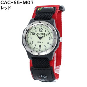 Ki  j̎q ̎q LbY EHb` h ǂ rv \ CACTUS JN^X }WbNe[v iCxg j wj i Љl LO NX}Xv[g 