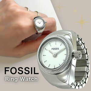 tHbV OEHb` wv uh fB[X Vo[ w֌^ Lk t[TCY RpNg ~j}   ANZT[ FOSSIL ޏ FB Mtg a LO 
