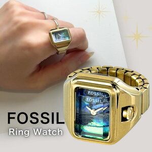 tHbV OEHb` wv uh fB[X XNGA ubNp[ w֌^ Lk t[TCY RpNg ~j}   ANZT[ FOSSIL ޏ FB Mtg 