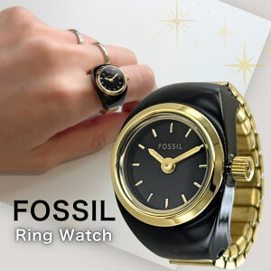 tHbV OEHb` wv uh fB[X ubN S[h w֌^ Lk t[TCY RpNg ~j}   ANZT[ FOSSIL ޏ FB Mtg a