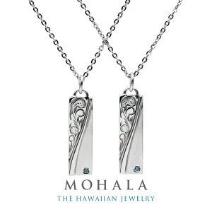 n nCAWG[ yAlbNX AM[Ή yA lbNX XeX Jbv 2Zbg u[ _Ch  l Vv a LO v[