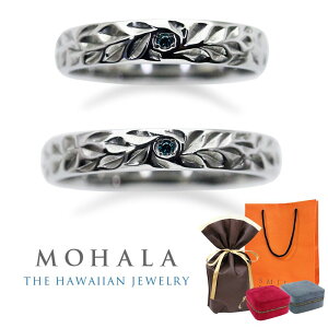 bsO MtgZbg n yAO nCAWG[ WG[P[Xt O yA w u[ _Ch 7`21 AM[Ή XeX av[