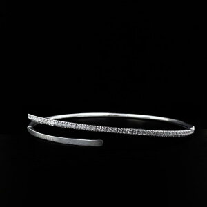 Ki i`sA oO fB[X uXbg Vv  Vo[J[ mAM[ T[WJXeX XeX AM[ Ή  LO 