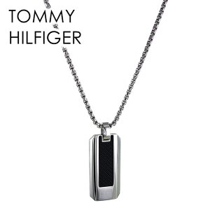 Tommy Hilfiger Tommy Hilfiger necklace 2780538 anth00028l LOOP FAMILY