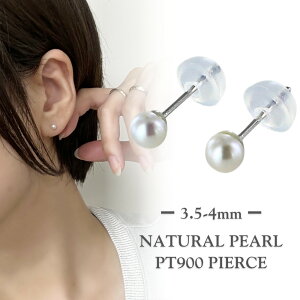 v`i sAX fB[X  p[ X^bhsAX Vv  킢  ANZT[ ޏ FB v[g Mtg a LO    NX}Xv[g 