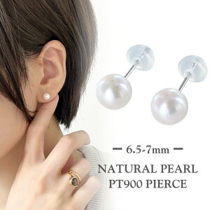 v`i sAX fB[X  p[ X^bhsAX Vv  킢  ANZT[ ޏ FB v[g Mtg a LO    NX}Xv[g 