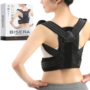 y̎tďCz pT|[^[ pxg Lwxg@Lw΍ jp @Dr BISERA hN^[rZ