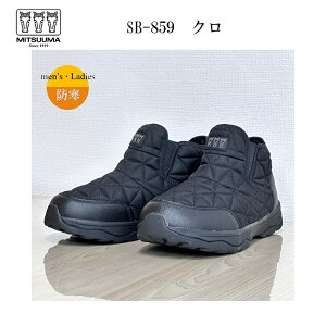 ~cE} Xm[V[Y SB-859 jp h h Y fB[X hC  {A ACXo[  ᓹ  jp  y