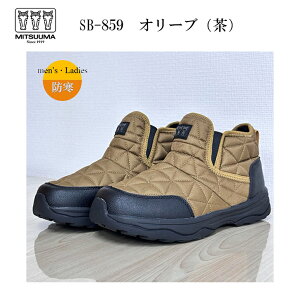 ~cE} Xm[V[Y SB859 jp h h Y fB[X hC  {A ACXo[  ᓹ  jp  y  N uE