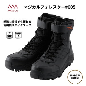 ی }WJtHX^[ 005 |XpCNs Ɨp Rэ Xэ @ XΒn Y N