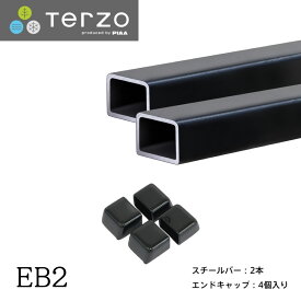 Terzo テルッツォ by PIAA ベースキャリア バー 2本入 スクエアバータイプ ブラック 120cm エンドキャップ付 EB2 ピア