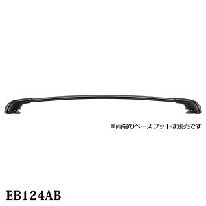 Terzo ebcI GAo[ A~x[Xo[ ubN EB124AB 124cm 1{ X}[go[ [  ԍ z_[ x[XLA PIAA sA