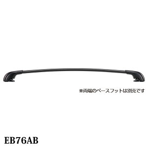 Terzo ebcI GAo[ A~x[Xo[ ubN EB76AB 76.0cm 1{ X}[go[ [  ԍ z_[ x[XLA PIAA sA