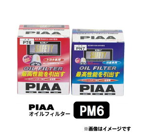 PIAA ICtB^[ 1 [OHԗp] fJX|[cMAEpWFEOi  PM6 sA