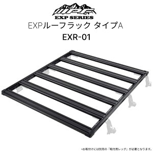 EXR-01 EXP[tbN ^CvA IPF EXPV[Y tbg^Cv 1250mm×1400mm ubN  KԎWj[ hN[U[ NV100Nbp[Ȃ
