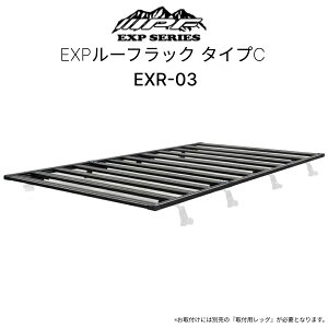 EXR-03 EXP[tbN ^CvC IPF EXPV[Y tbg^Cv 1470mm×2950mm ubN  KԎ nCG[X WAXG[X