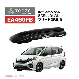 Terzo �e���b�c�H (by PIAA) ���[�t�{�b�N�X 258L-318L ��\�K���Ԏ� �t���[�h GB5 GB6�yGRANFORMA FLEX���M�����[�z �u���b�N ���J��FLEX ���^�X�}�[�g�n���h���ŊȒP��t �Œ�p�x���g�W������ �Z�[�t�e