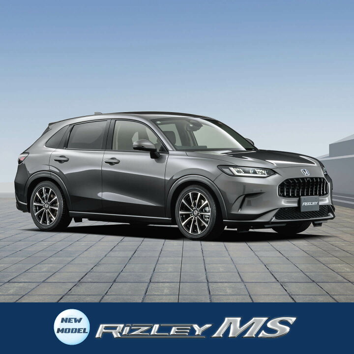 楽天市場】WEDS ホイール RIZLEY MS 14インチ 4.5J インセット45 4穴 
