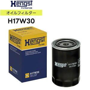 HENGST wOXg ICGg H17W30 KԎAudi AEfB A4 S4 A6 RS4