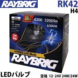 LEDヘッドランプ ハロゲン電球互換用LEDバルブ RK42　レイブリック RAYBRIG 車検対応 2個セット