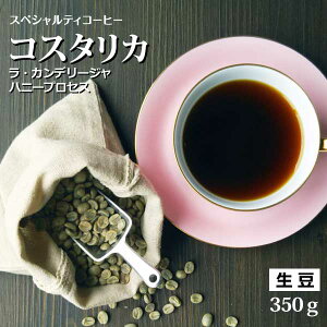 y̔zRX^J EJf[W nj[vZX ^X 350gXyVeBR[q[ [[]I(/R[q[/XyVeBR[q[/XyVeBR[q[/