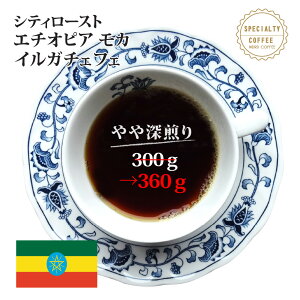 yʒ 300g360gzVeB[Xg G`IsA J CK`FtF 300g360gXyVeBR[q[ [[]I(Mtg//hV̓/|Cg/XyVeBR[q[/