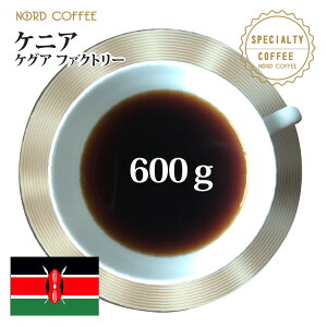 PjA POA t@Ng[ 600g(300g×2)XyVeBR[q[ [[]I(Ε/N//o^C/XyVeBR[q[/XyVeBR[q[//蓤/R