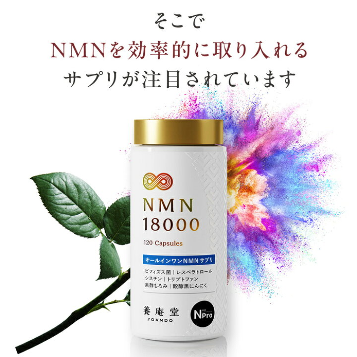 楽天市場】【公式】阿部養庵堂薬品 養庵堂 NMN 18000（NMN総量 18,000 
