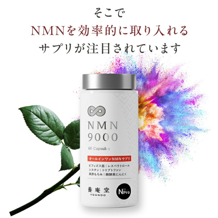 楽天市場】【公式】阿部養庵堂薬品 養庵堂 NMN 9000（NMN総量 9,000mg  