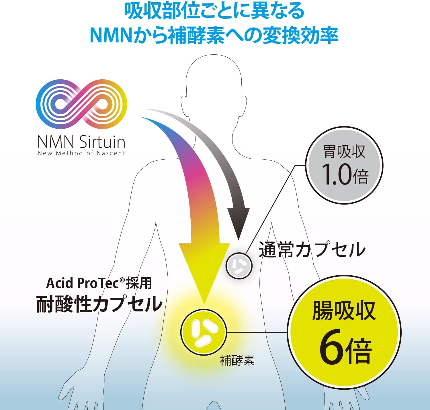 楽天市場】NMNサプリ 国産 純度99.9％ NMN Sirtuin 18000（3000mg