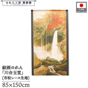 ̂ 썇ʓ a 85cm 150cm   i iF g  a { G G ̕   ǉ Ԏd؂ ډB ^yXg[  X  Ɩp Xܗp HX 