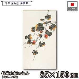 y111:59܂P5{ẑ Ia a 85cm 150cm JXE GZ H a AC{[ g  a _ Vv i` Ԏd؂J[e ډB ^yXg[  X 