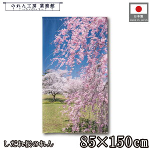 のれん 和風 85cm幅150cm丈 しだれ桜 さくら お花見満開 風景 景色 暖簾 半間 和柄 モダン シンプル ナチュラル 間仕切りカーテン 目隠し タペストリー 入口 店頭 軒先 業務用 店舗用 飲食店 居