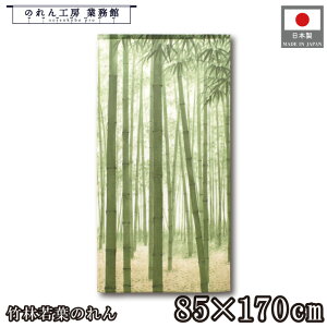 ̂ a 85cm 170cm |юt iF i A   g  a _ Vv i` Ԏd؂J[e ډB ^yXg[  X  Ɩp Xܗp HX 