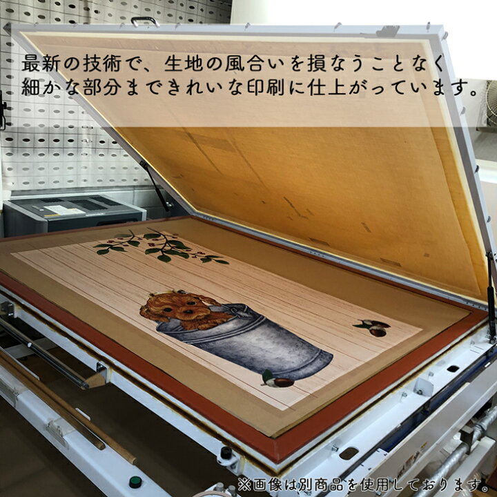 楽天市場 長沢芦雪 のれん 薔薇蝶獅子図 85cm幅 150cm丈 犬 絵画 名画 浮世絵 ベージュ アイボリー おしゃれ 和風 暖簾 間仕切り カーテン タペストリー ポスター 目隠し 玄関 階段 洗面所 部屋 仕切り 棚 パントリー のれん屋さんのインテリアショップ